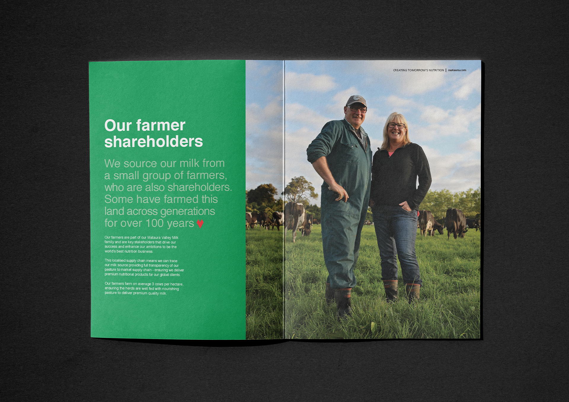 friction-mataura-valley-milk-brand-marketing-brochure-farm-nz friction-mataura-valley-milk-brand-marketing-brochure-farm-nz