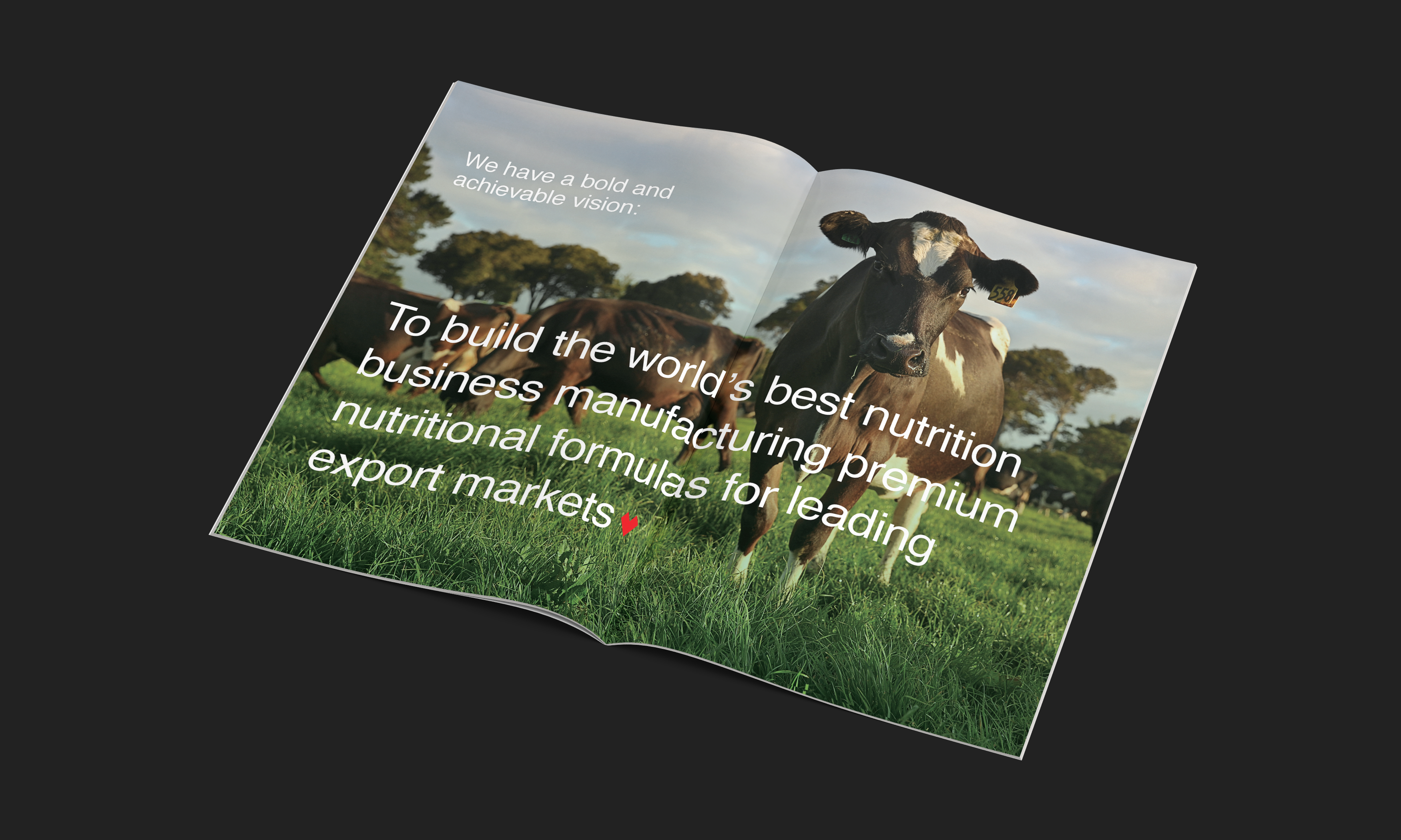 friction-mataura-valley-milk-marketing-magazine-nz friction-mataura-valley-milk-marketing-magazine-nz