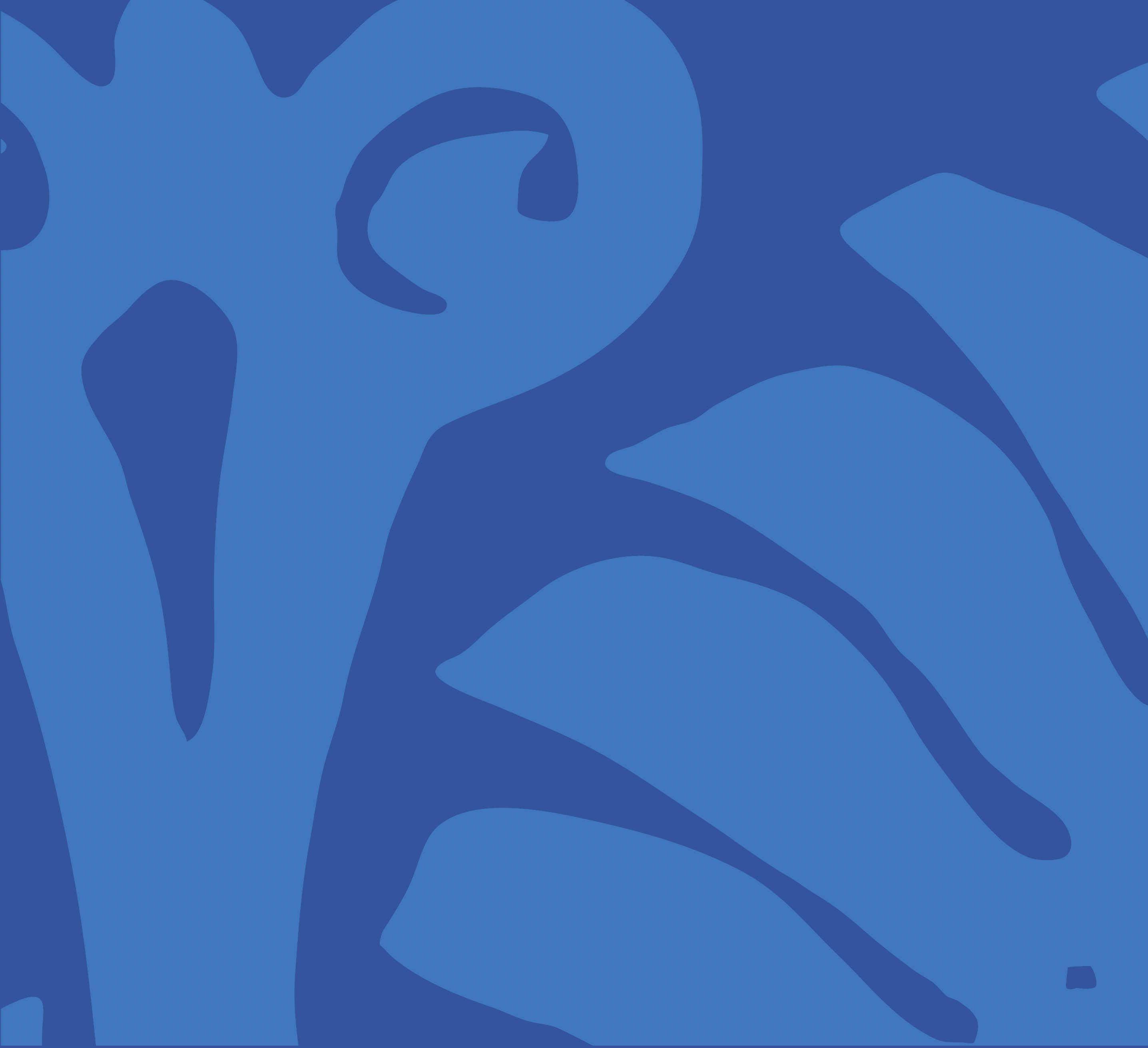 friction-airtahitinui-brand-pattern1 friction-airtahitinui-brand-pattern1